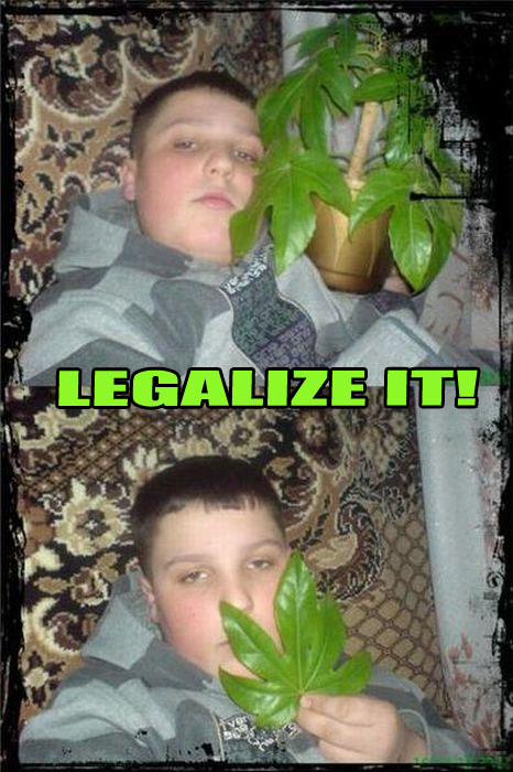 mariguana, "legalize it", drogas, legalización
